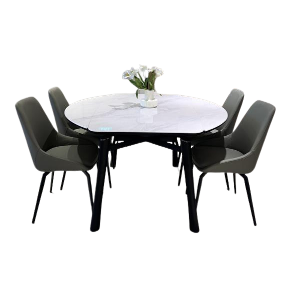 SELRA DINING SET (1 Table + 4 FINA Chairs)